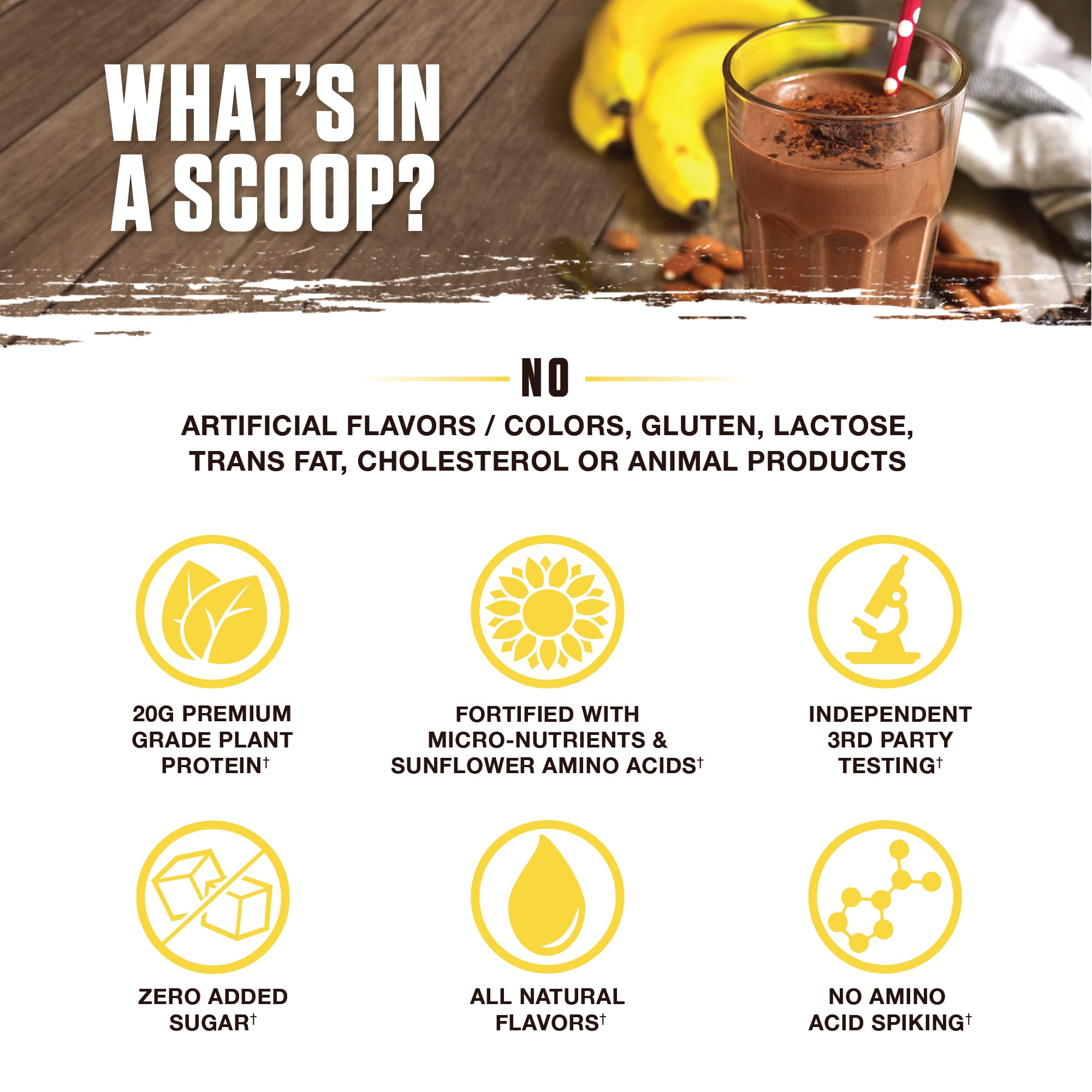 Ambrosia Planta scoop con una porción en mano para medir 20 g de proteína