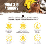 Ambrosia Planta scoop con una porción en mano para medir 20 g de proteína