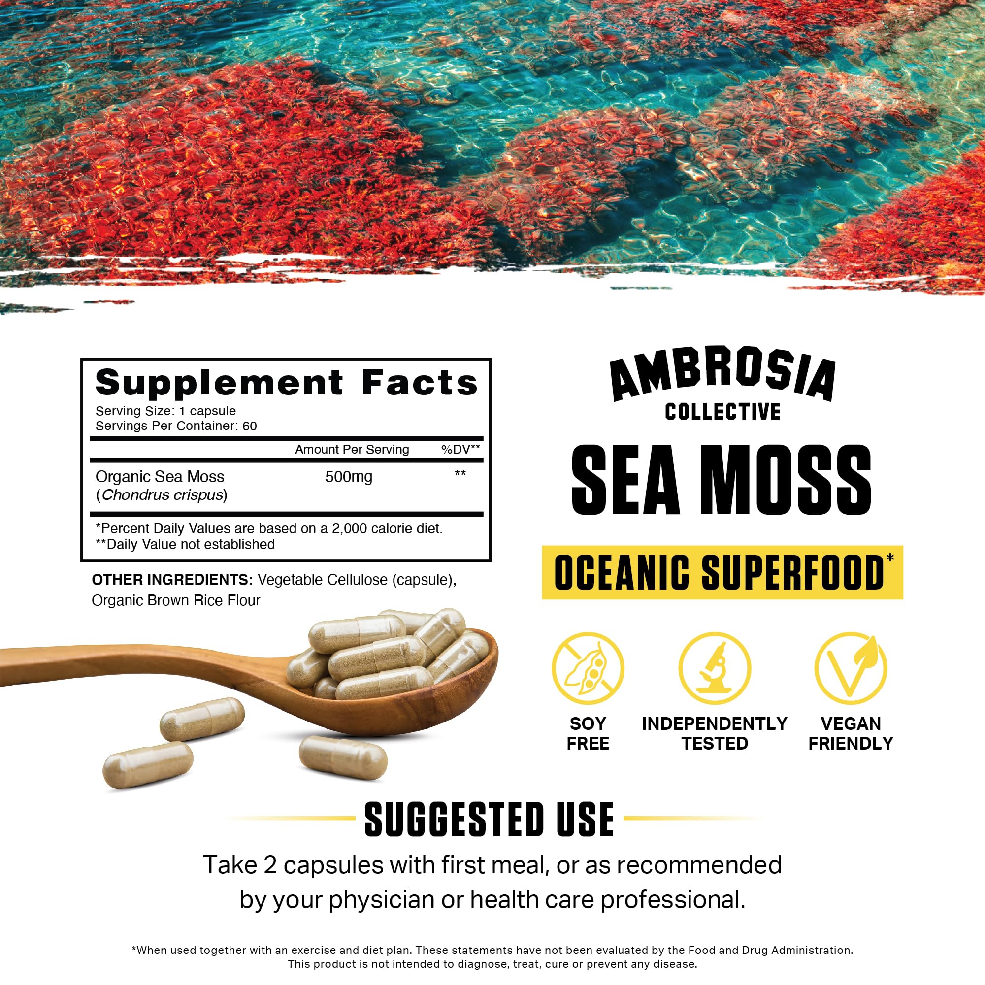 Ambrosia cápsula abierta con polvo interior para ver el extracto marino