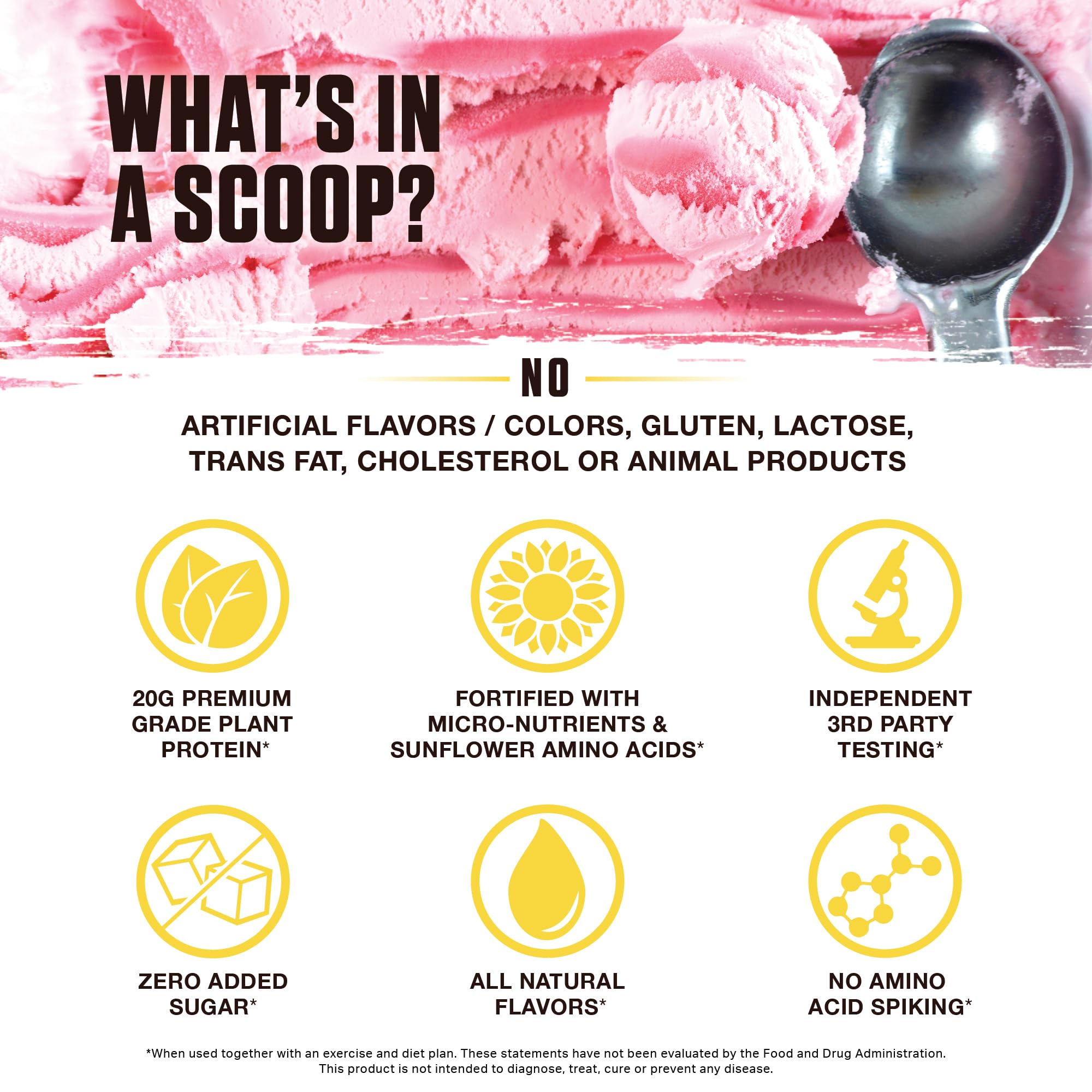 Ambrosia scoop servido en mano para comparar tamaño y porción práctica