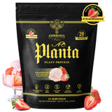 Ambrosia textura del polvo en cuchara, mezcla suave y sin grumos