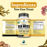 American Standard Supplements producto en mesa de cocina estilo de vida saludable