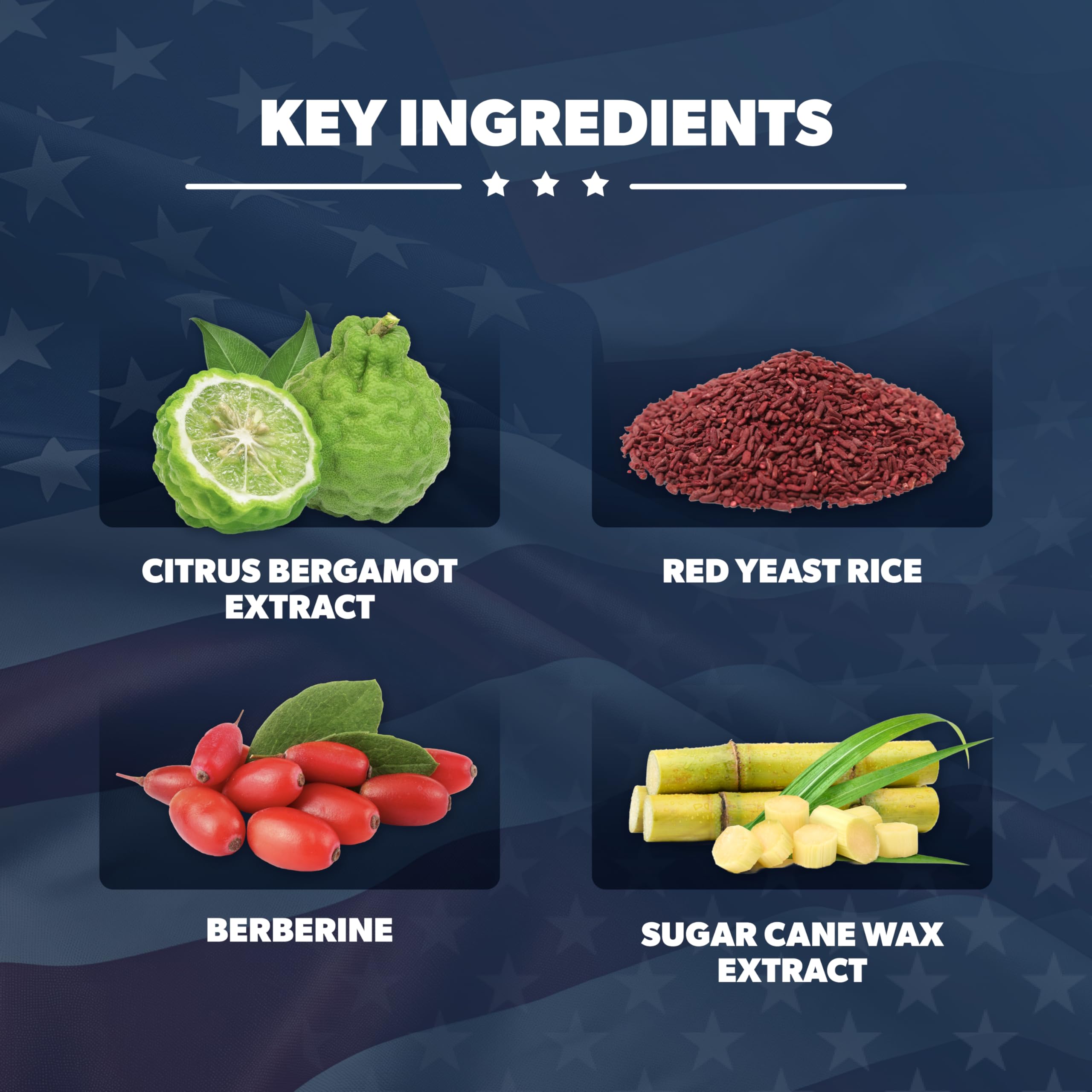 AMERICAN VITALITY etiqueta de ingredientes y certificaciones visibles
