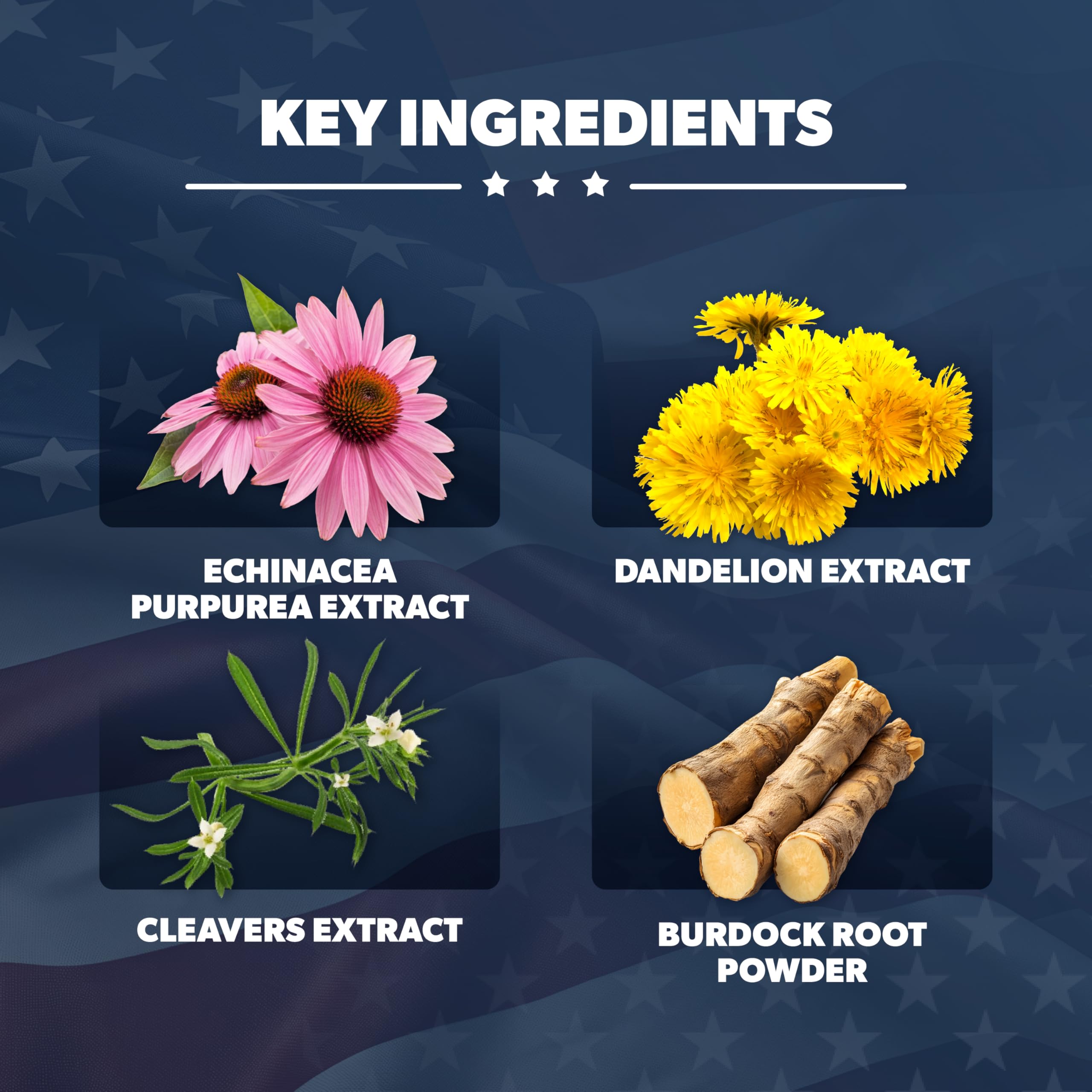 AMERICAN VITALITY ingredientes botánicos usados en LymphaVive en composición clara