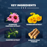 AMERICAN VITALITY ingredientes botánicos usados en LymphaVive en composición clara