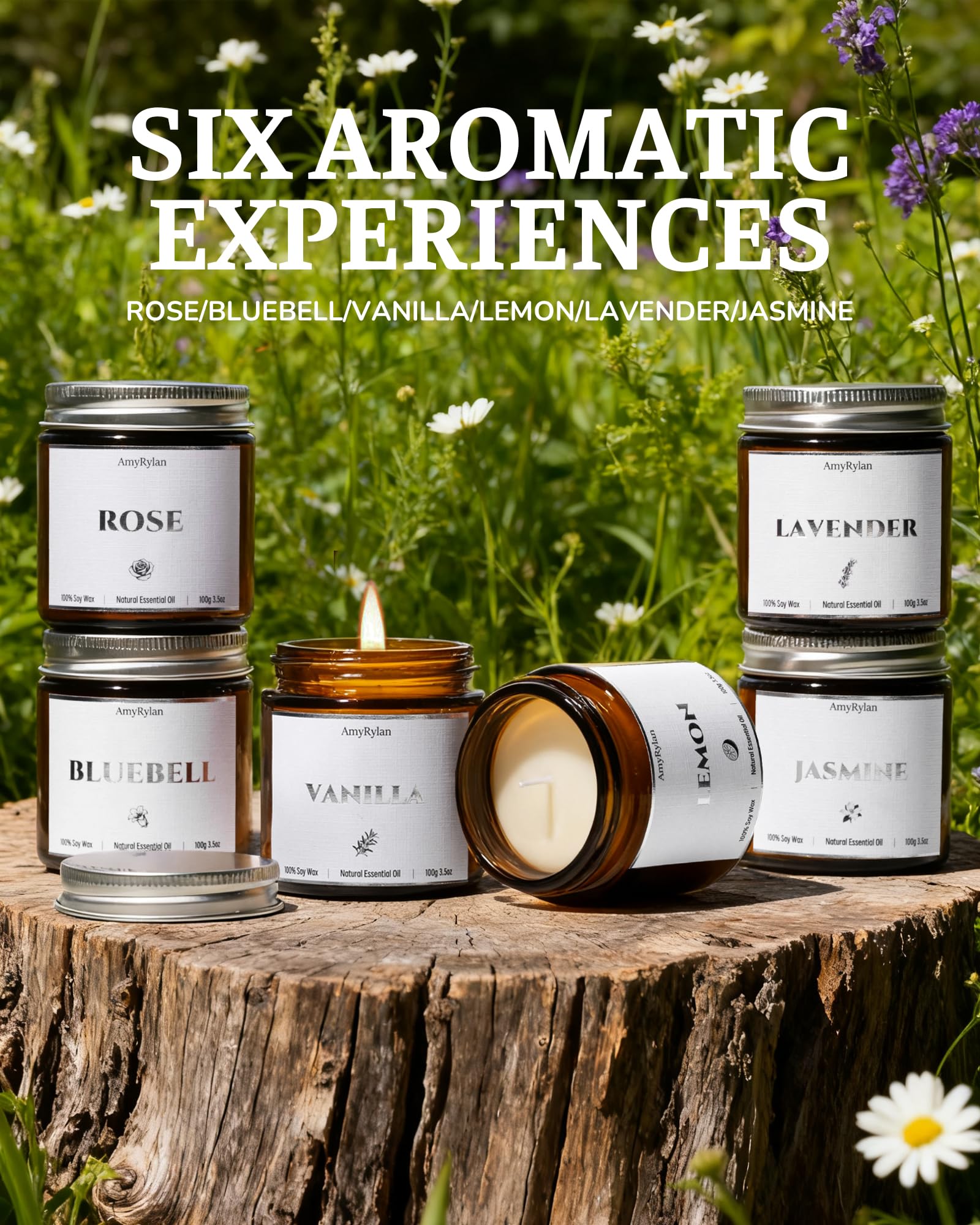 AMYRYLAN colección de seis tarros, variedad aromática para cada ambiente
