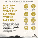 Ingredientes orgánicos de Mofo representando órganos bovinos grass-fed y trazabilidad