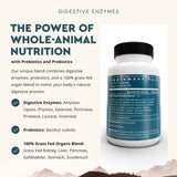 Ancestral Supplements cápsula en primer plano destacando pureza y textura natural