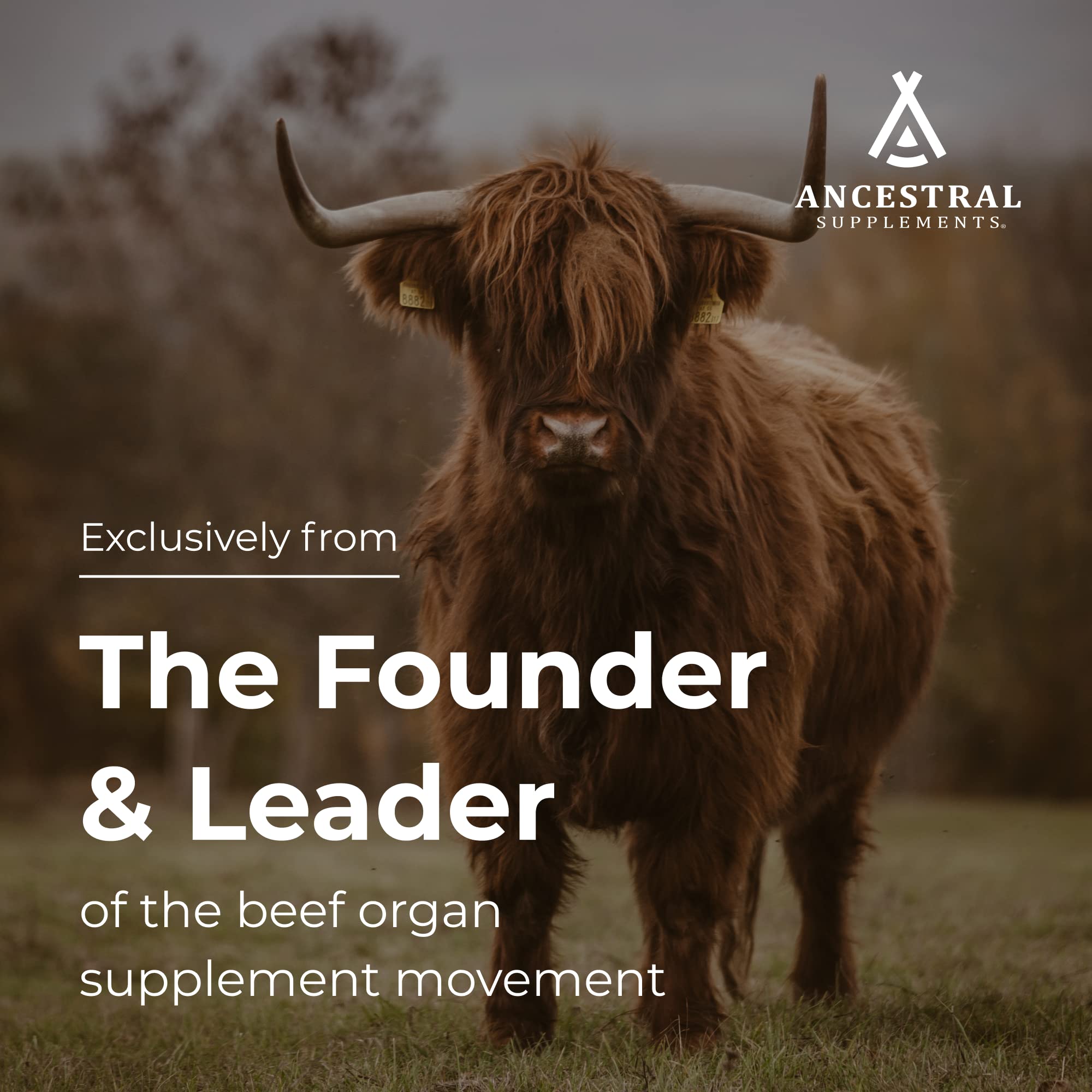 Ancestral Supplements cápsulas en mano para comparar tamaño y dosificación práctica