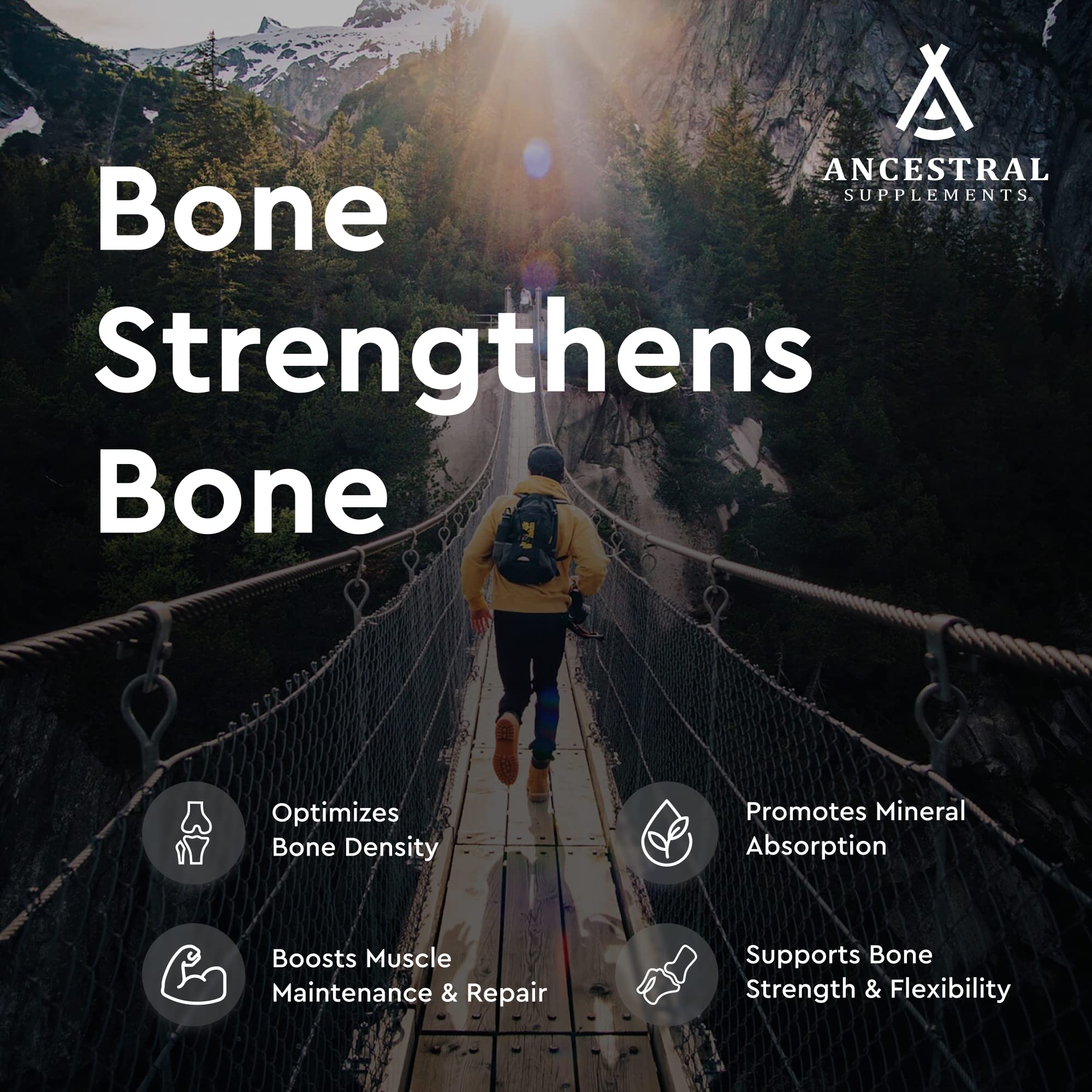 Ancestral Supplements cápsulas en mano para comparar tamaño y dosificación práctica