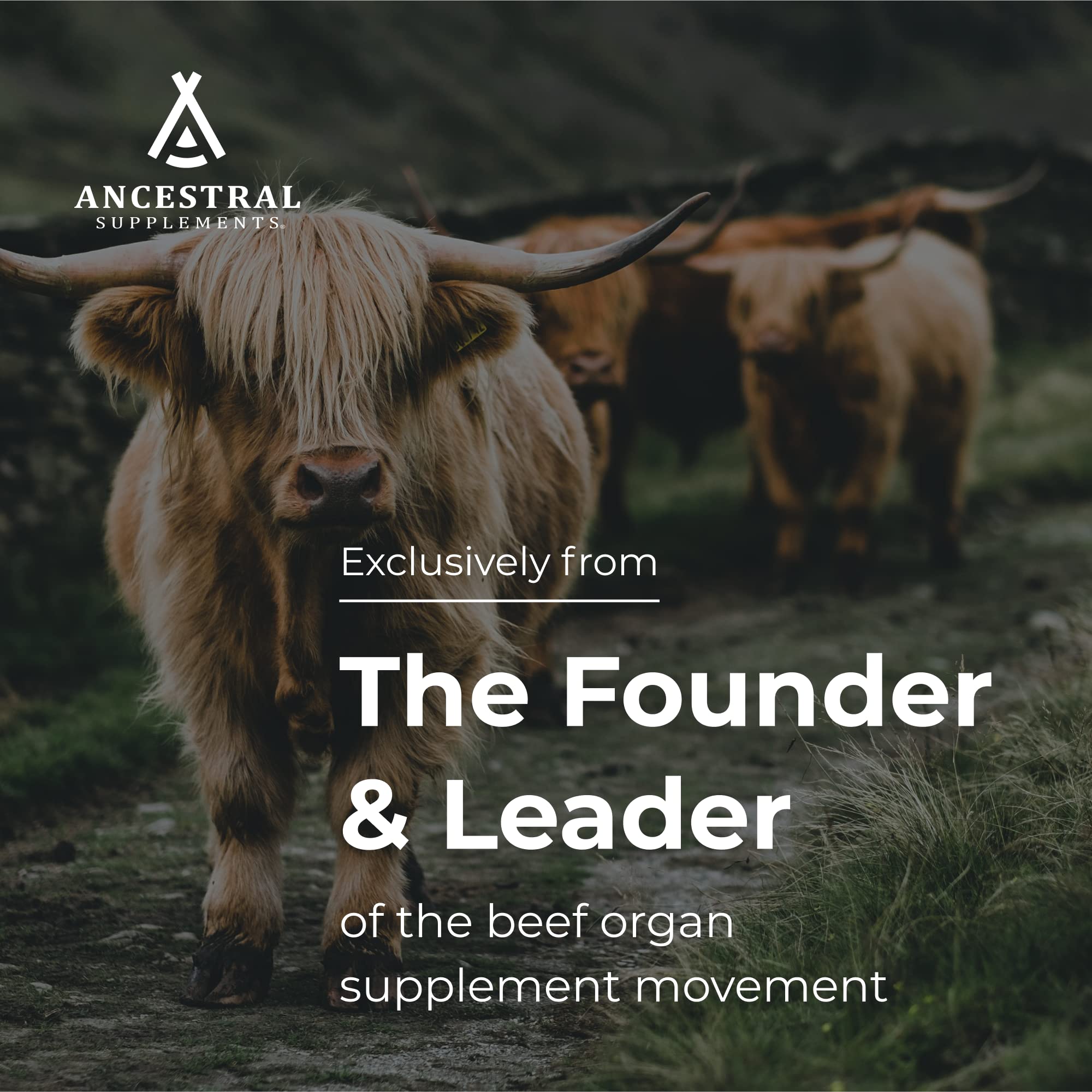 Ancestral Supplements cápsulas en mano para comparar tamaño y facilidad de consumo