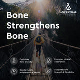 Ancestral Supplements cápsulas en mano para comparar tamaño y dosificación práctica