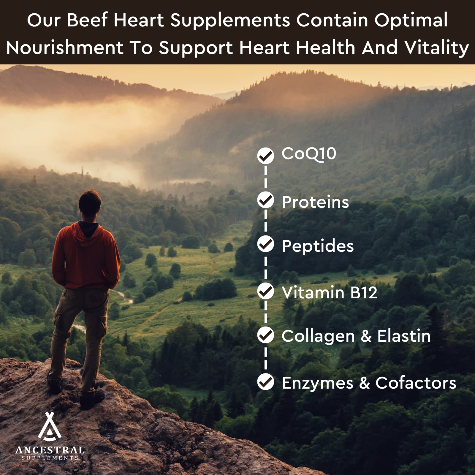 Ancestral Supplements cápsula junto a moneda para comparar tamaño práctico