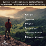 Ancestral Supplements cápsula junto a moneda para comparar tamaño práctico