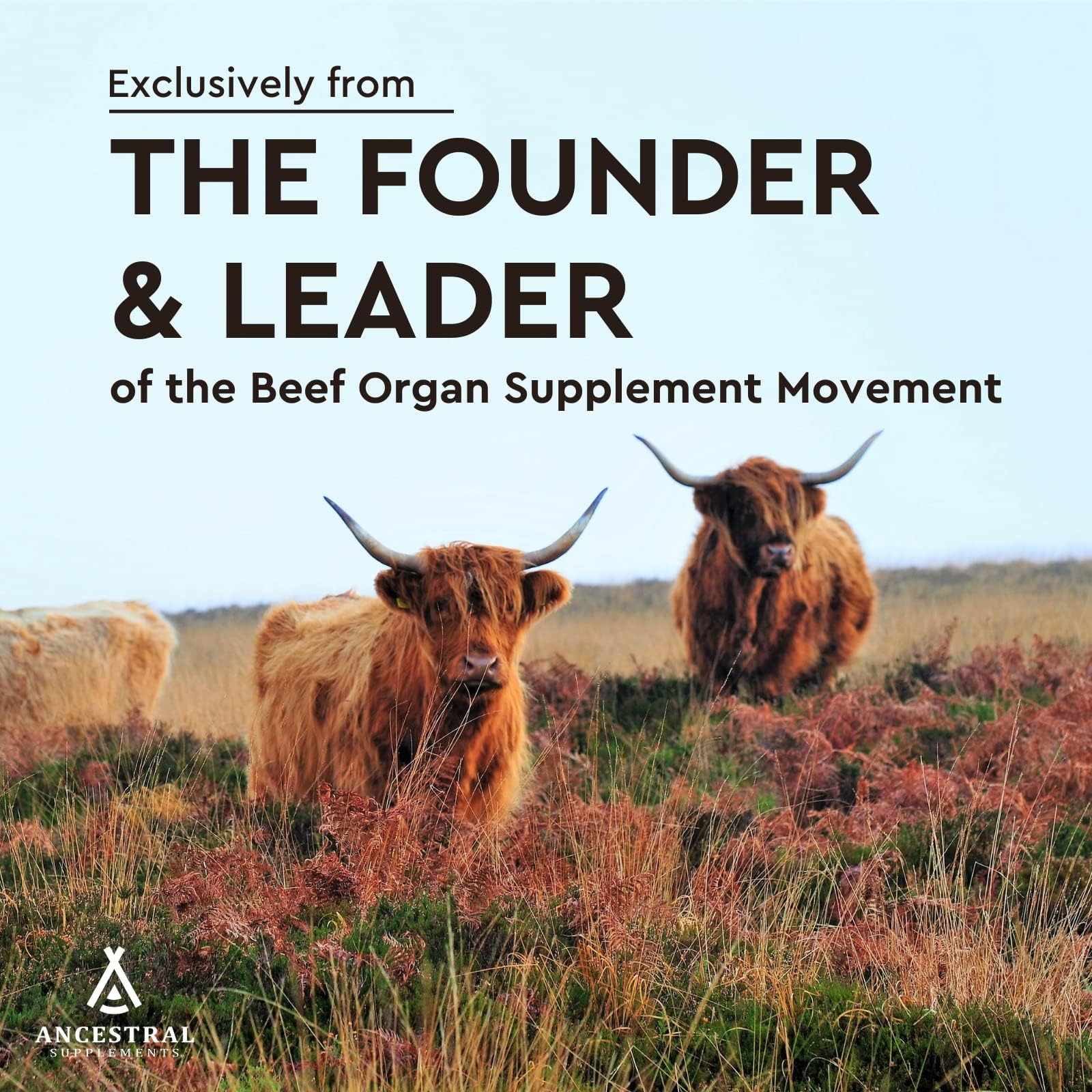 Ancestral Supplements frasco sobre mesa junto a alimentos para soporte energético