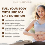 Ancestral Supplements cápsulas junto a comida para uso diario y absorción