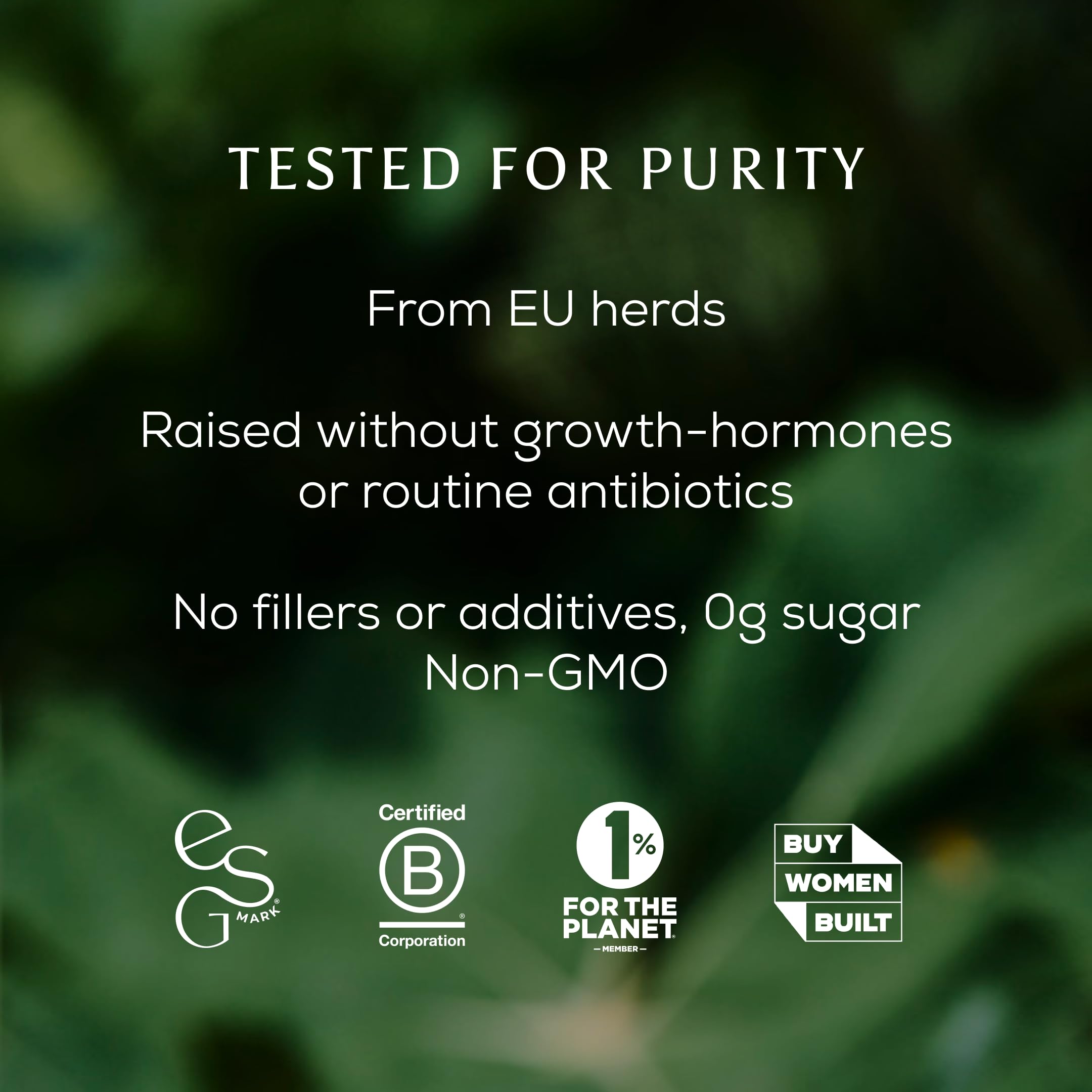Ancient + Brave detalle de etiqueta que resalta ingrediente único y transparencia