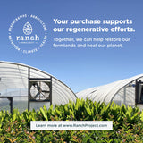 Ancient Nutrition etiqueta con sellos USDA Organic y Non-GMO destacando certificaciones visibles