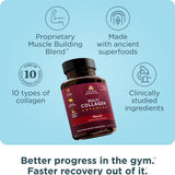 Ancient Nutrition caja abierta con cápsulas visibles, conveniente para uso diario
