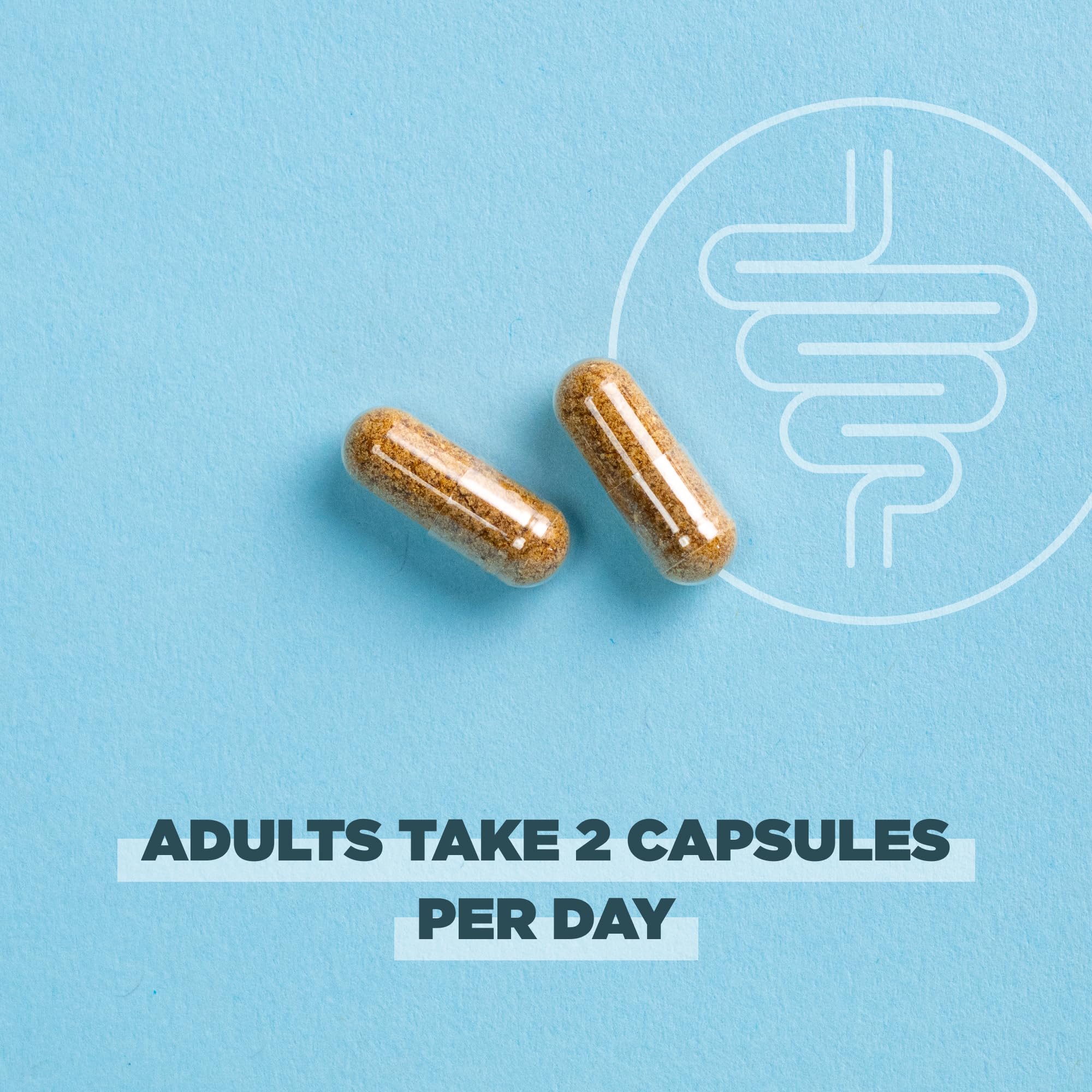 Ancient Nutrition cápsula colocada junto a moneda para visualizar tamaño práctico