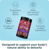 Ancient Nutrition cuchara con dosis lista para añadir bebida