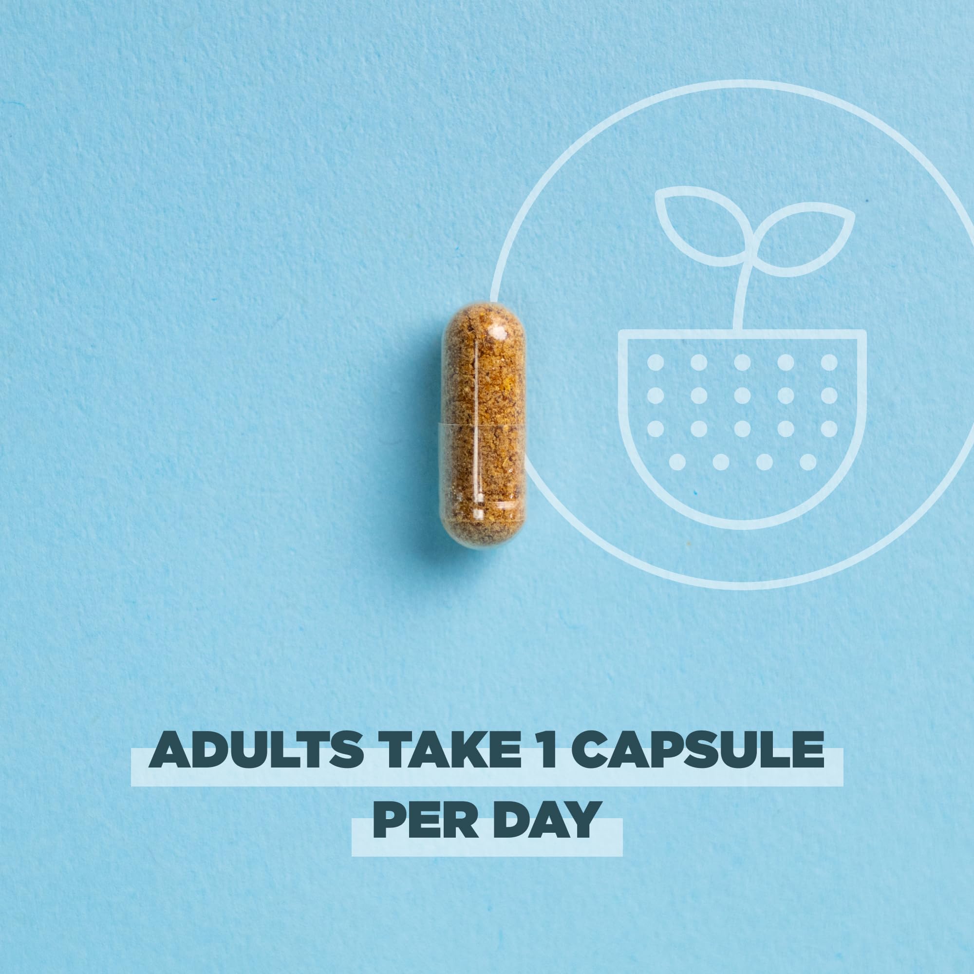 Ancient Nutrition cápsulas junto a regla para comparar tamaño real