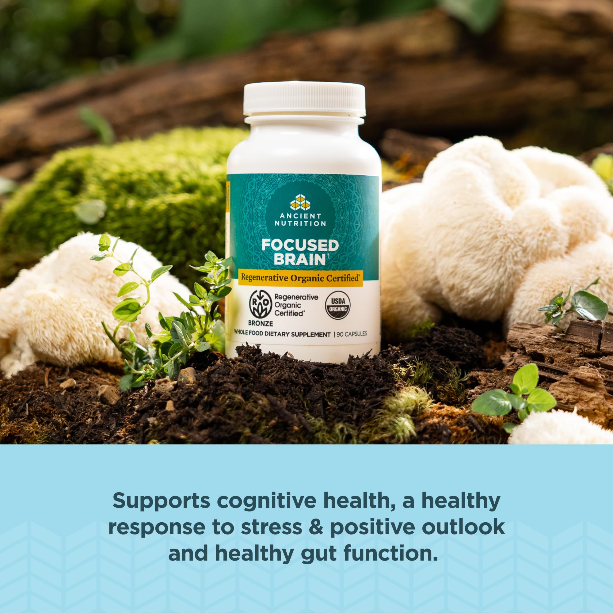Ancient Nutrition etiqueta con lista de ingredientes y beneficios de calidad