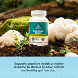 Ancient Nutrition etiqueta con lista de ingredientes y beneficios de calidad