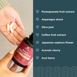 Ancient Nutrition etiqueta de ingredientes destacando fuentes trazables y sin gluten