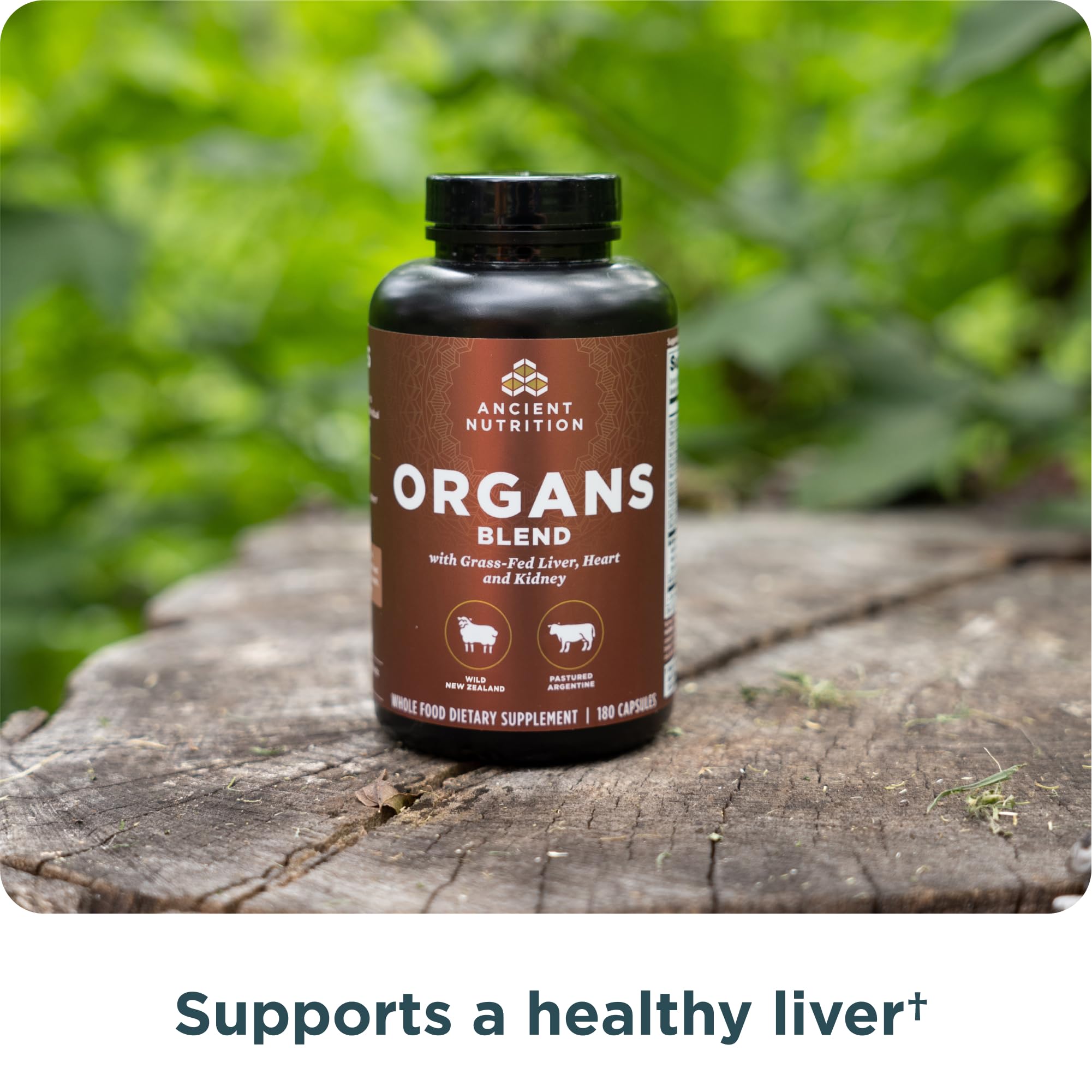 Ancient Nutrition primer plano de órganos grass‑fed y cordero wild como origen