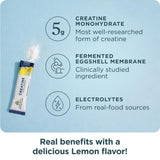 Ancient Nutrition cuchara con 5 g de creatina lista para dosificar