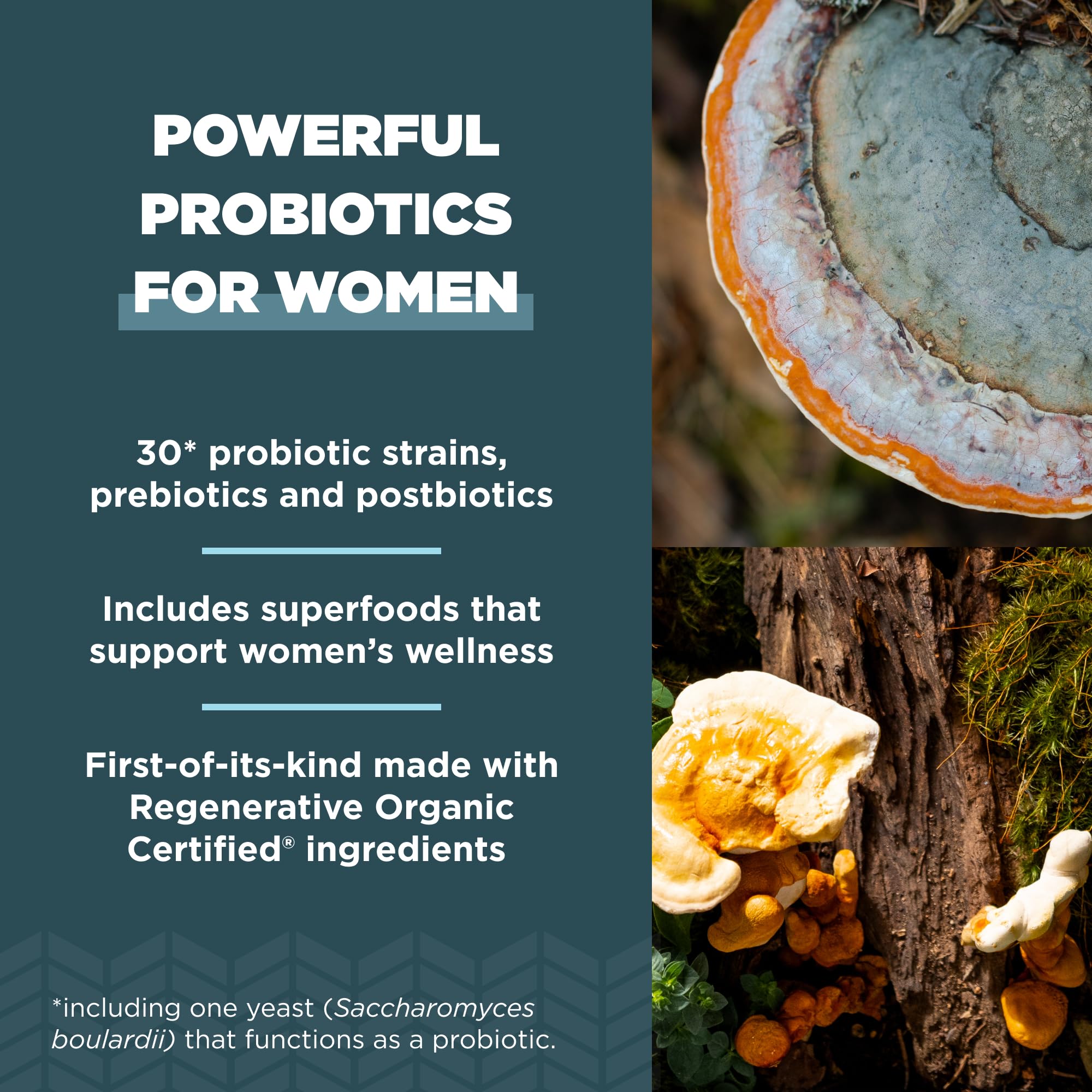 Ancient Nutrition micelio de reishi y chaga cultivado en granja certificada regenerativa