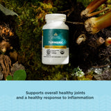 Ancient Nutrition vista cercana del polvo y textura, evidencia de planta entera