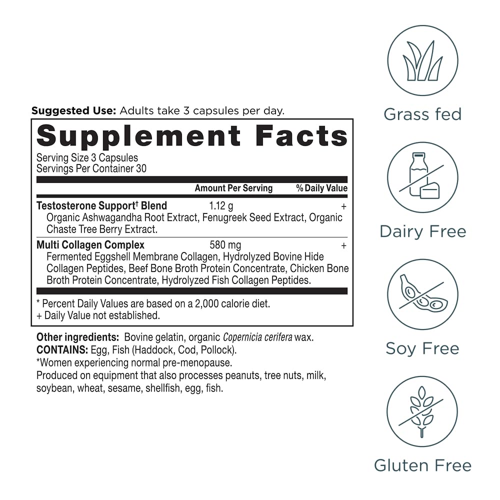Ancient Nutrition envase en entorno de bienestar para uso diario equilibrado