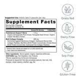 Ancient Nutrition envase en entorno de bienestar para uso diario equilibrado