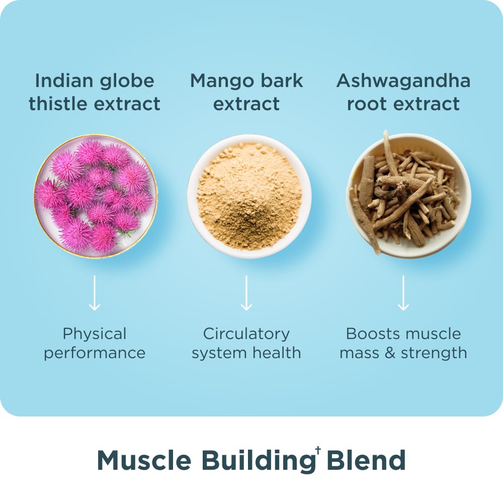 Ancient Nutrition cápsulas al lado de equipo de gimnasio, apoyo para entrenamientos