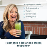 Ancient Nutrition close-up de spirulina, chlorella y matcha naturales