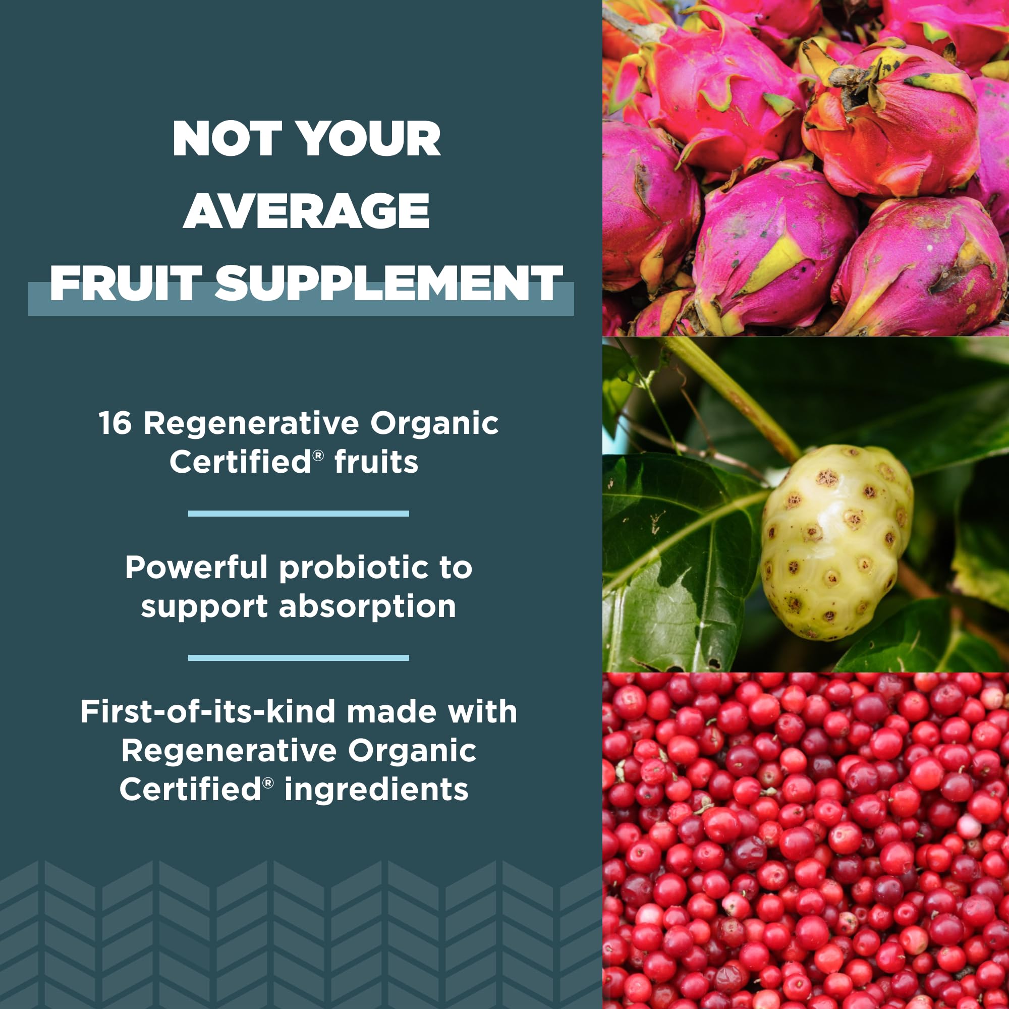 Ancient Nutrition cápsula sostenida en mano para comparar tamaño y dosificación