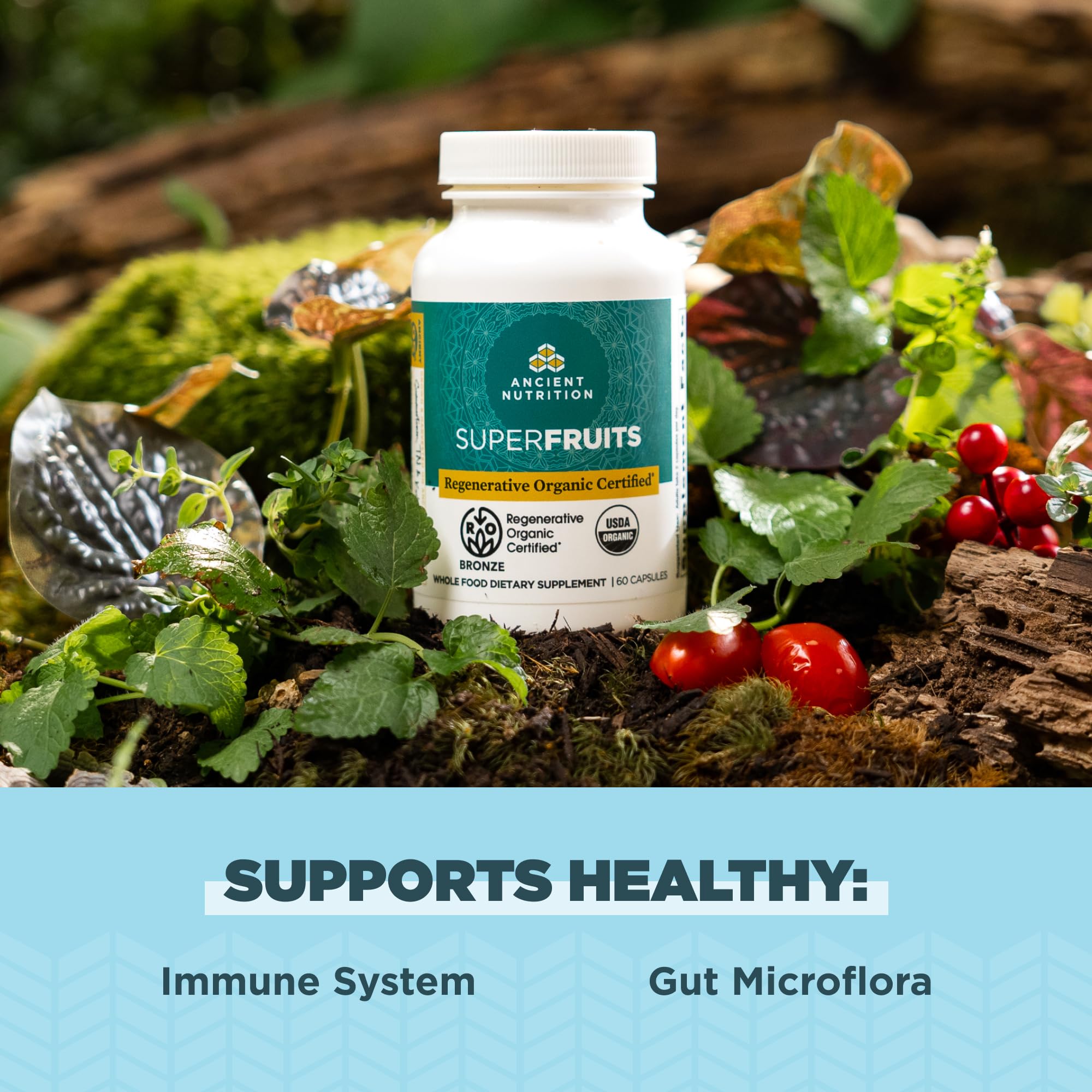 Ancient Nutrition mezcla de frutas en polvo demostrando origen y variedad nutritiva