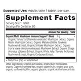 Ancient Nutrition tableta en mano para comparar tamaño y dosificación