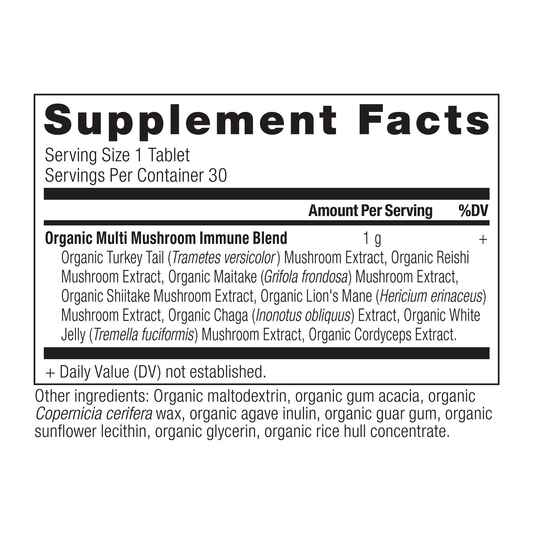Ancient Nutrition tableta en mano para mostrar tamaño y uso diario