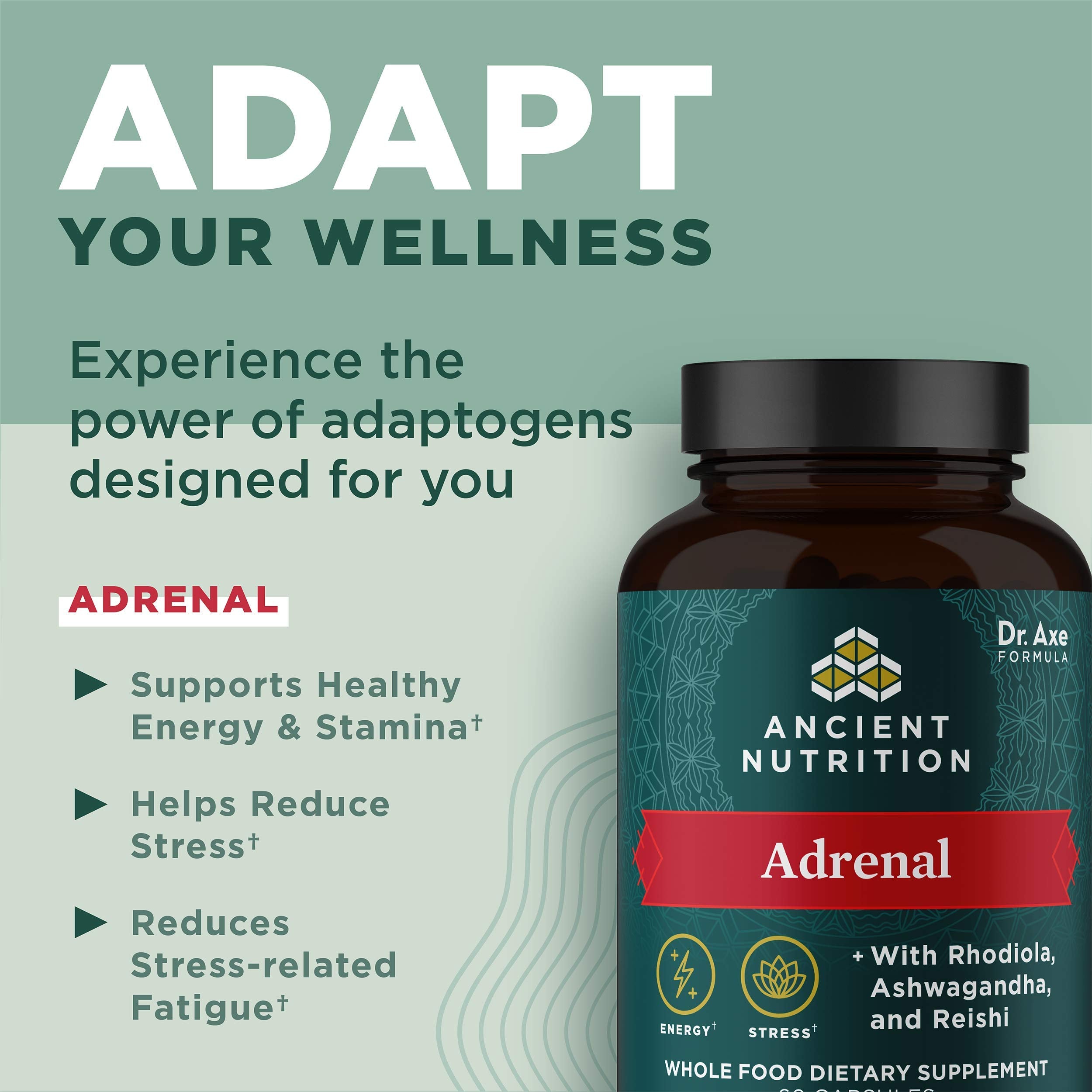 Ancient Nutrition polvo y extractos que ilustran ingredientes naturales