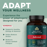 Ancient Nutrition polvo y extractos que ilustran ingredientes naturales