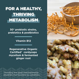 Ancient Nutrition vista cercana de ingredientes en polvo y mezcla probiótica