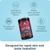 Ancient Nutrition polvo en primer plano con textura fina que facilita disolución rápida y sabor agradable