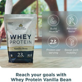 Ancient Nutrition batido Vainilla Bean listo para beber como recuperador
