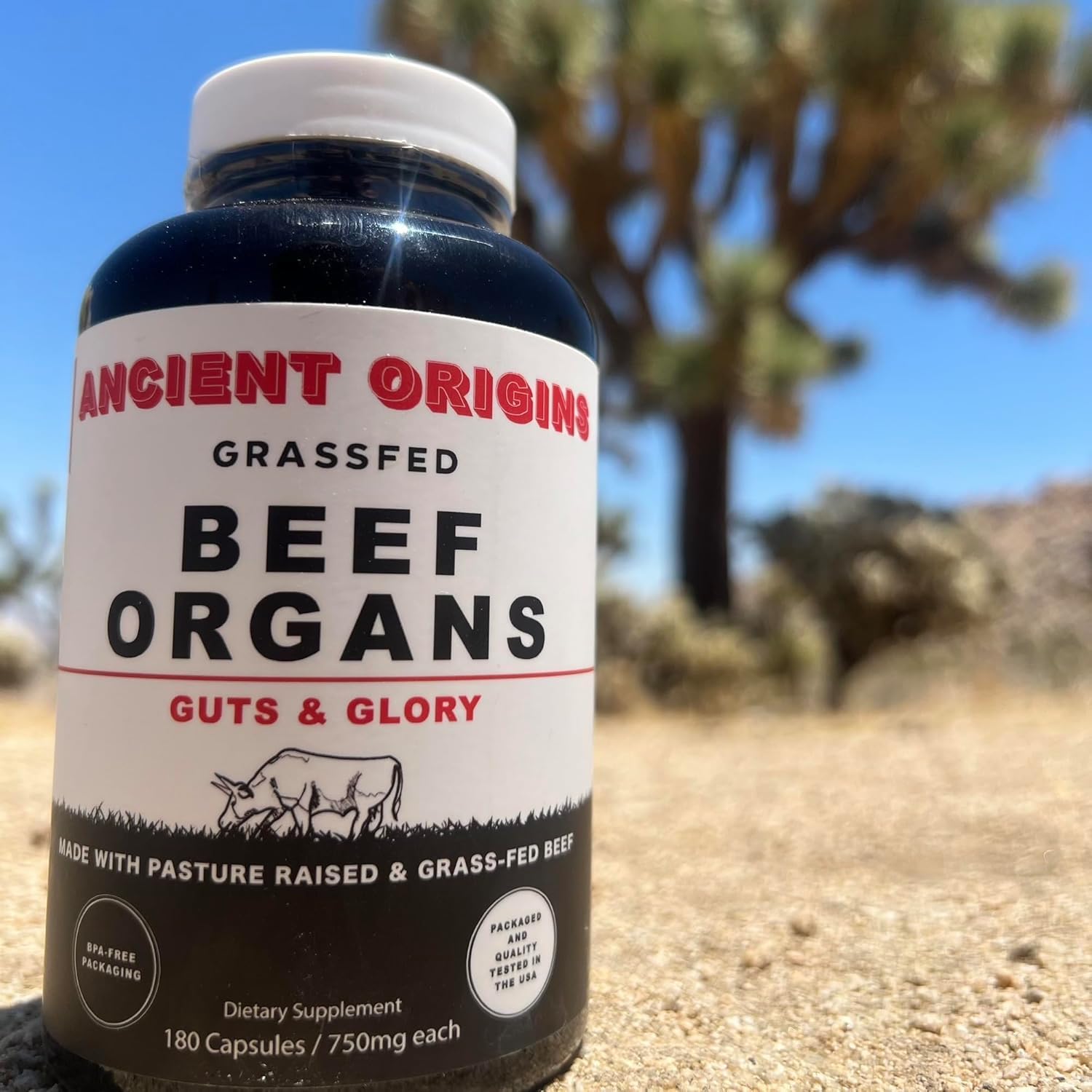 Ancient Origins pasturas en Argentina, origen grass fed y trazabilidad