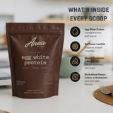 Anea Nutrition batido de chocolate servido en taza, bebida proteica lista para tomar