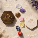 Anima cristales distribuidos en plano mostrando variedad y texturas útiles