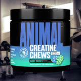 Animal primer plano de tabletas masticables mostrando textura fácil de consumir